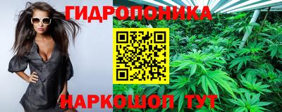 эйфоретик Пенза
